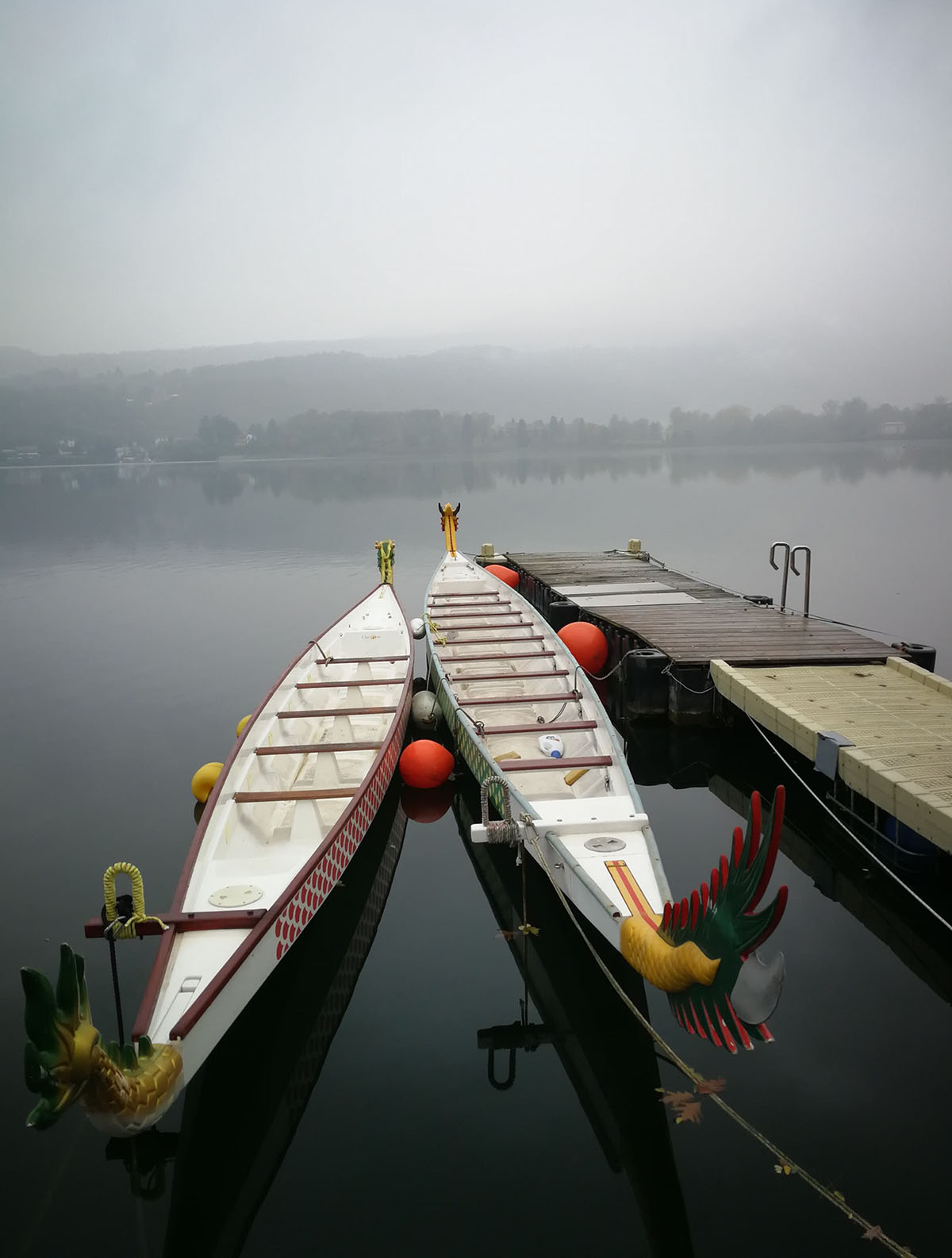 Colori nel grigio autunnale, Lago Grande di Avigliana - Gabriella Druetta